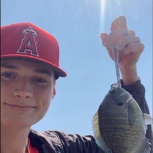 Meet your Posher, Anthony